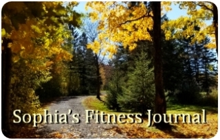 fitness journal sample1